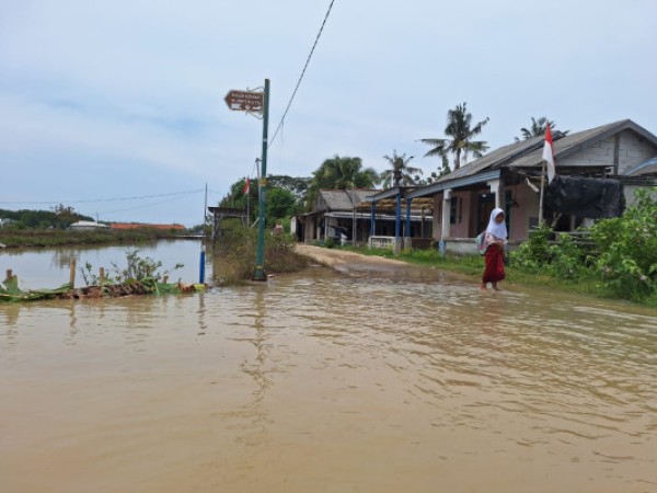 Supermoon Pemicu Banjir Rob di Kawasan Pesisir