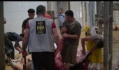 Pemotongan Dilakukan di Mesir, Baznas RI dan INH Salurkan 163 Hewan Kurban untuk Warga Gaza Palestina
