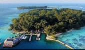 Jelajahi Hutan Mangrove dan Penangkaran Penyu di Pulau Kelapa