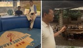 Anggota DPRD Jakarta Diduga Main Judi Sabung Ayam, Pengamat Kebijakan Publik Sugiyanto Cek Raja Laut Farm