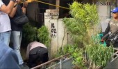 Rumah Ganja di Jakarta Barat Digerebek Polisi