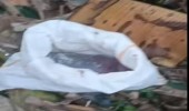 Jasad Bayi dalam Karung di Lubang Buaya Jaktim, Dua Orang Dicurigai sebagai Pelaku