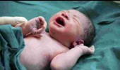 22 Tersangka Ditangkap, Polda Jabar Gulung Sindikat Penjual 43 Bayi ke Singapura dan Indonesia